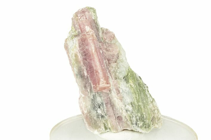 Watermelon Tourmaline (Elbaite) in Quartz - Brazil #257910